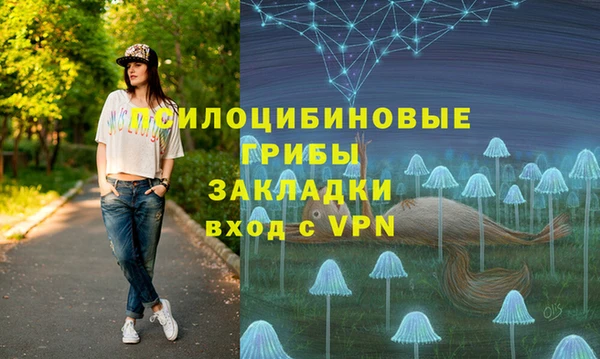 ALPHA-PVP Каменка
