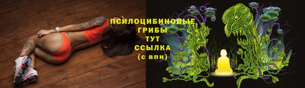 дживик Каменногорск