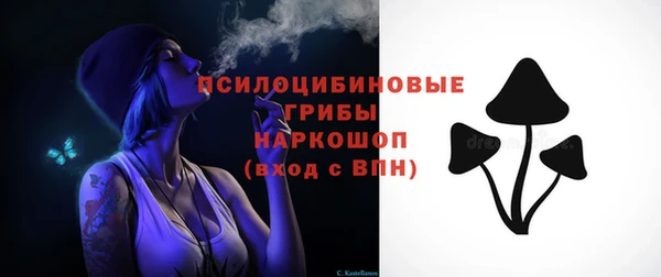 дживик Каменногорск