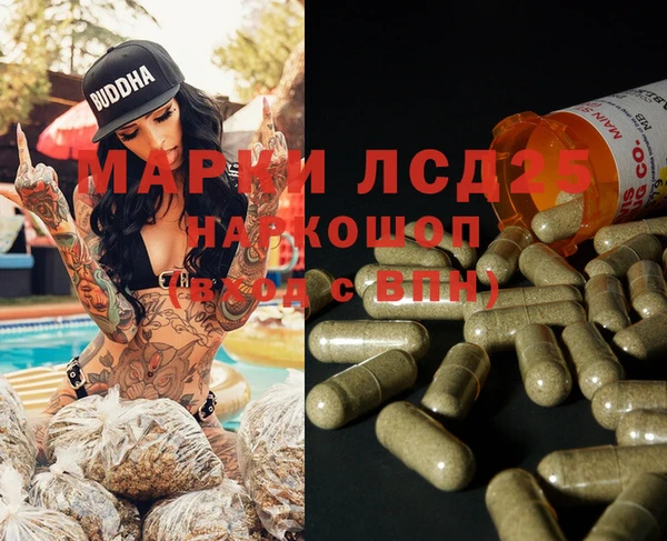 дживик Каменногорск