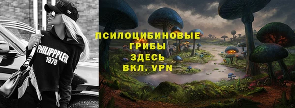 дживик Каменногорск